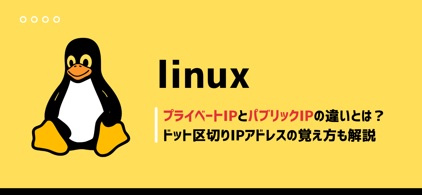 LinuC対策：プライベートIPとパブリックIPの違いとは？ドット区切りIPアドレスの覚え方も解説