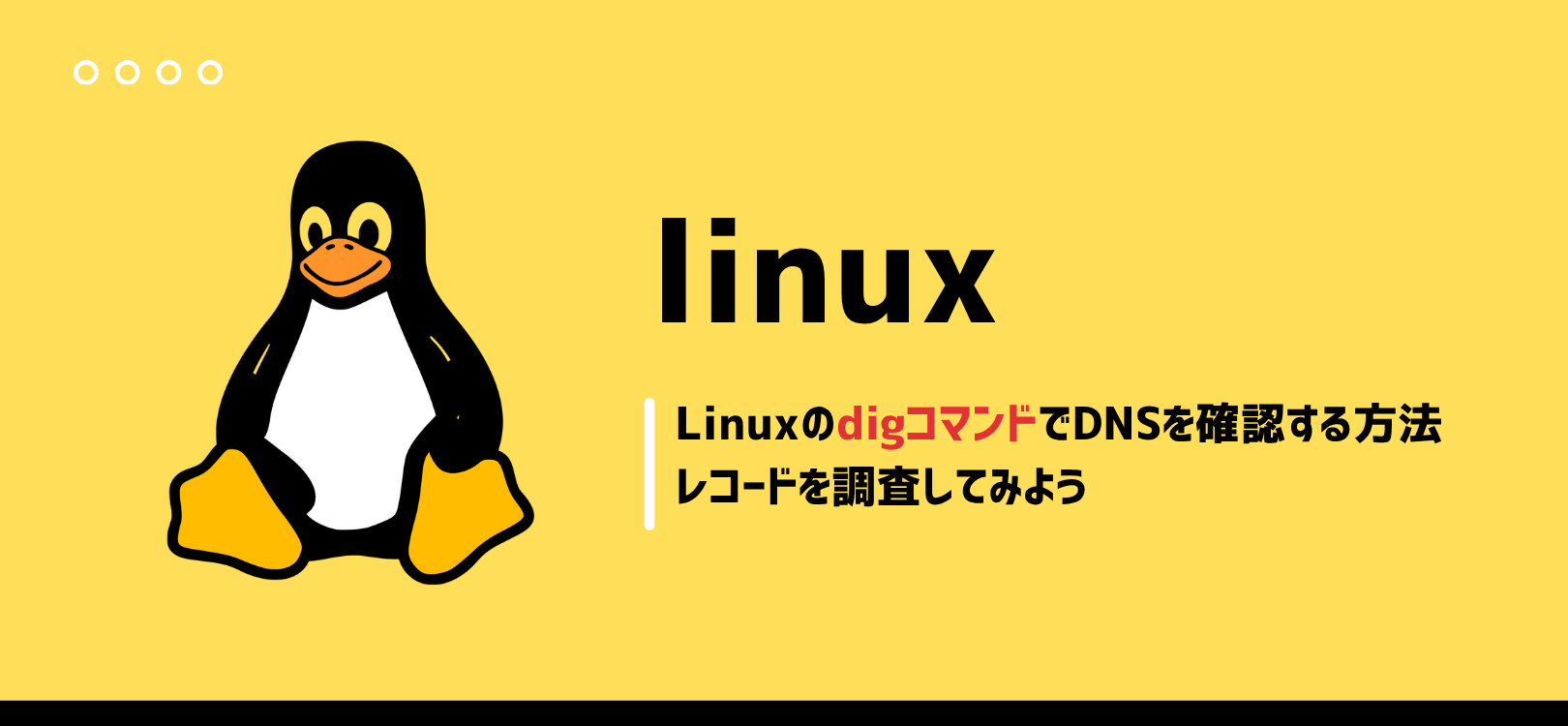LinuxのdigコマンドでDNSを確認する方法｜Aレコード・MXレコード・NSレコードを調査してみよう