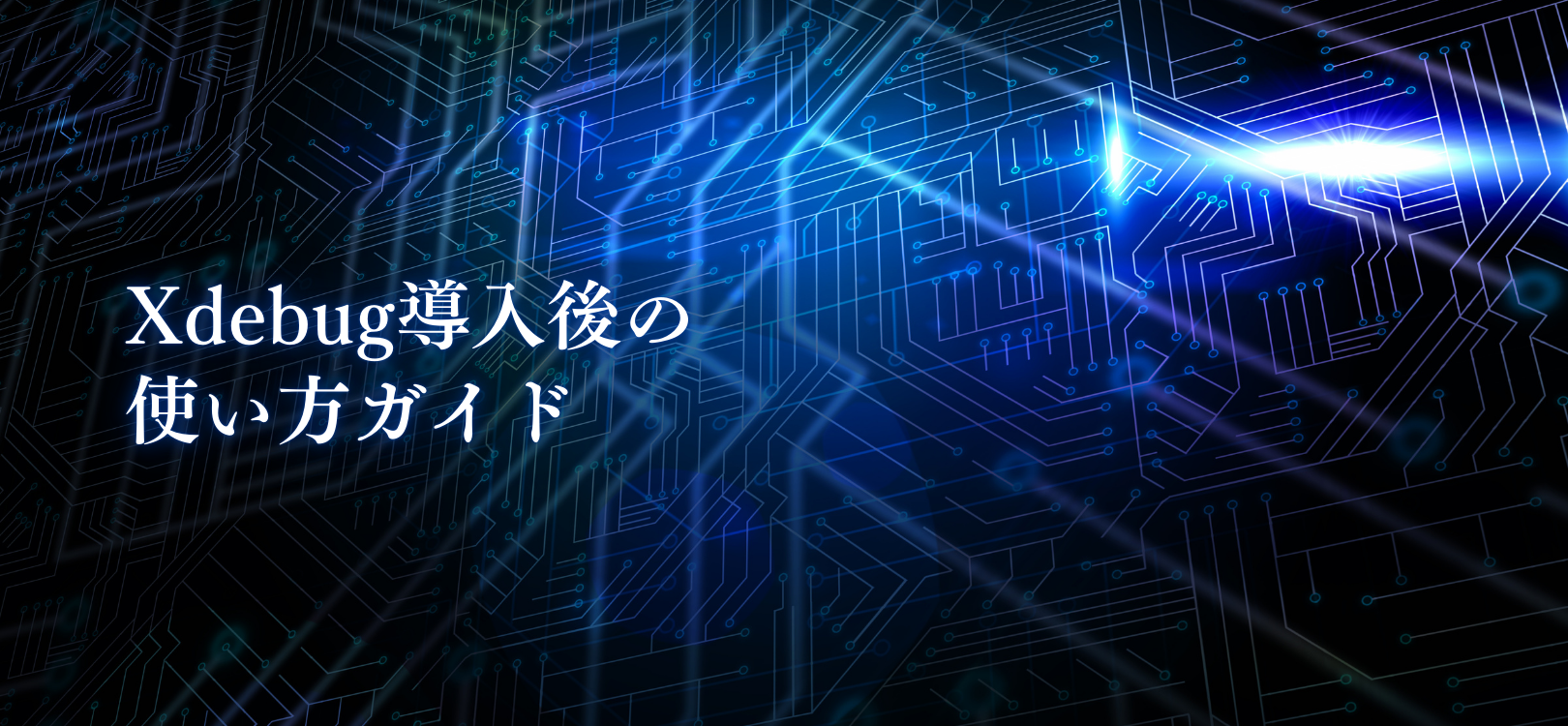 Xdebug導入後の使い方ガイド